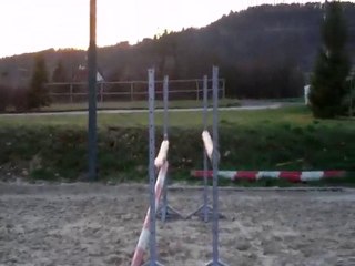 simbad des torfeux oxer 2