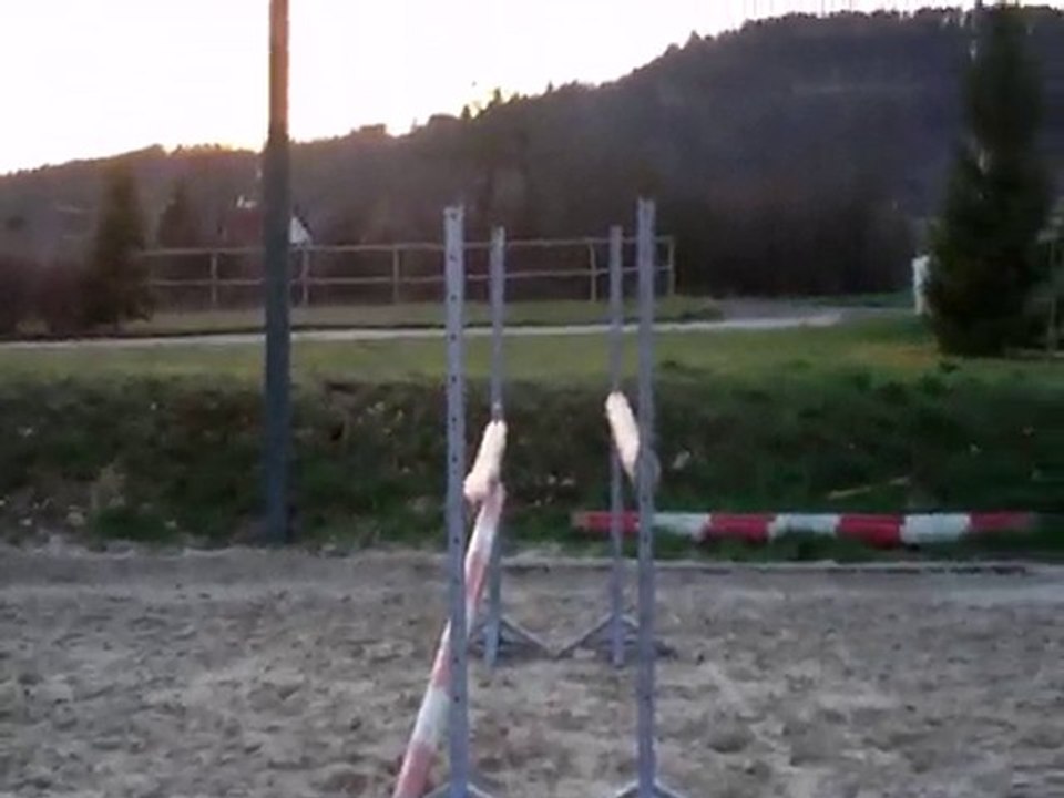 simbad des torfeux oxer 2