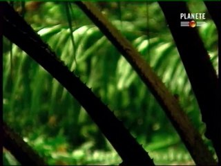 Les sept merveilles de l'industrie, le canal de Panama p1