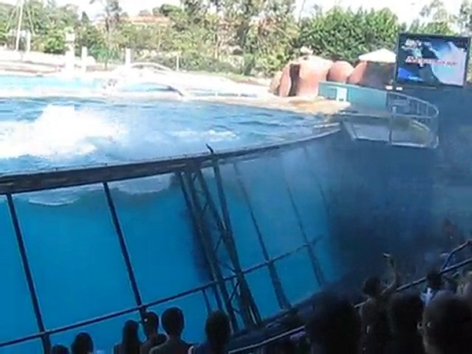 Marineland + anniv' Alexis 13 ans 102