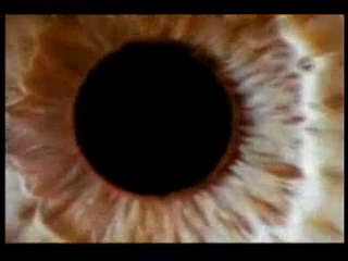 Görüntünün oluşumu ve görme