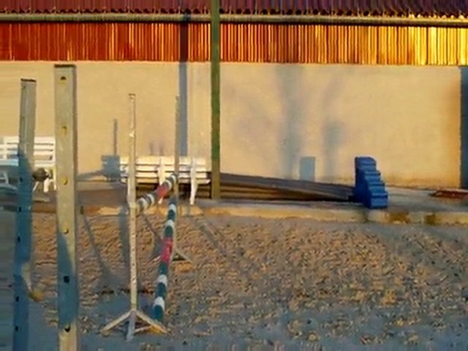 simbad des torfeux vertical 3