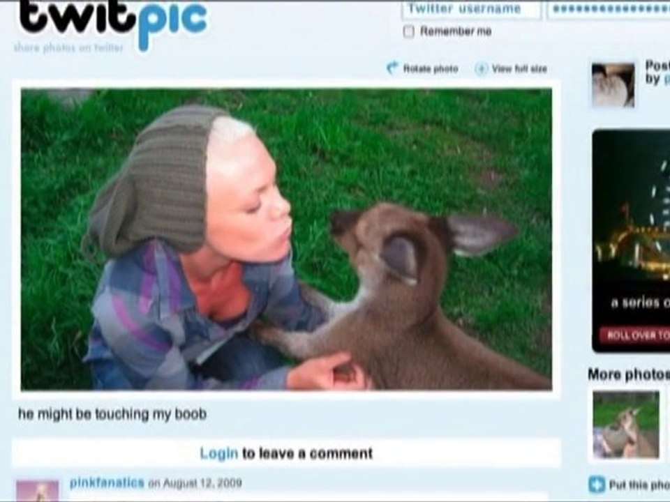 SNTV - Exklusiv: Stars auf Twitter