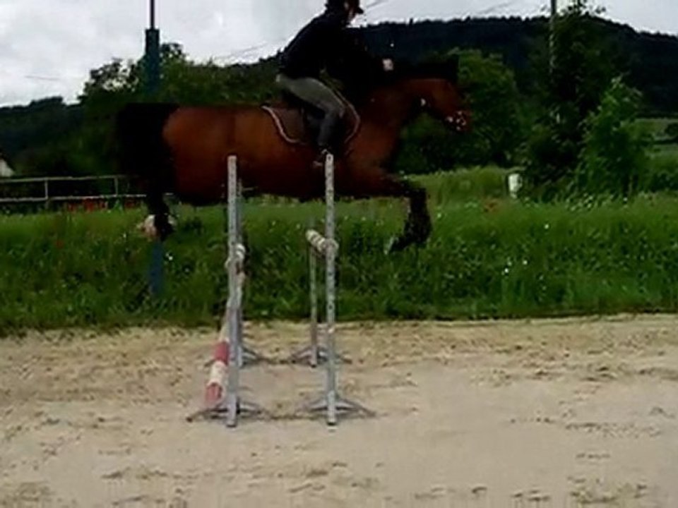 simbad des torfeux oxer 4