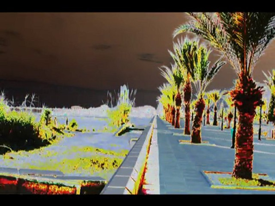 261208_port yasmine 2