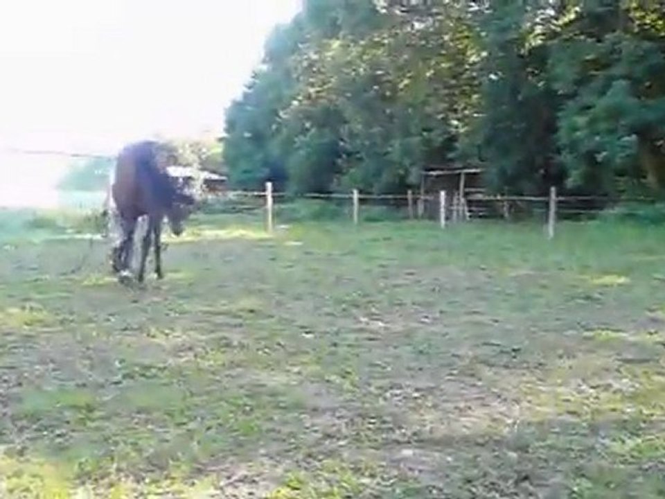 Den et la bâche