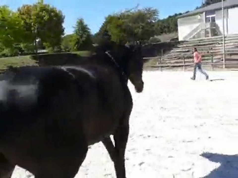 séance du 31 aout