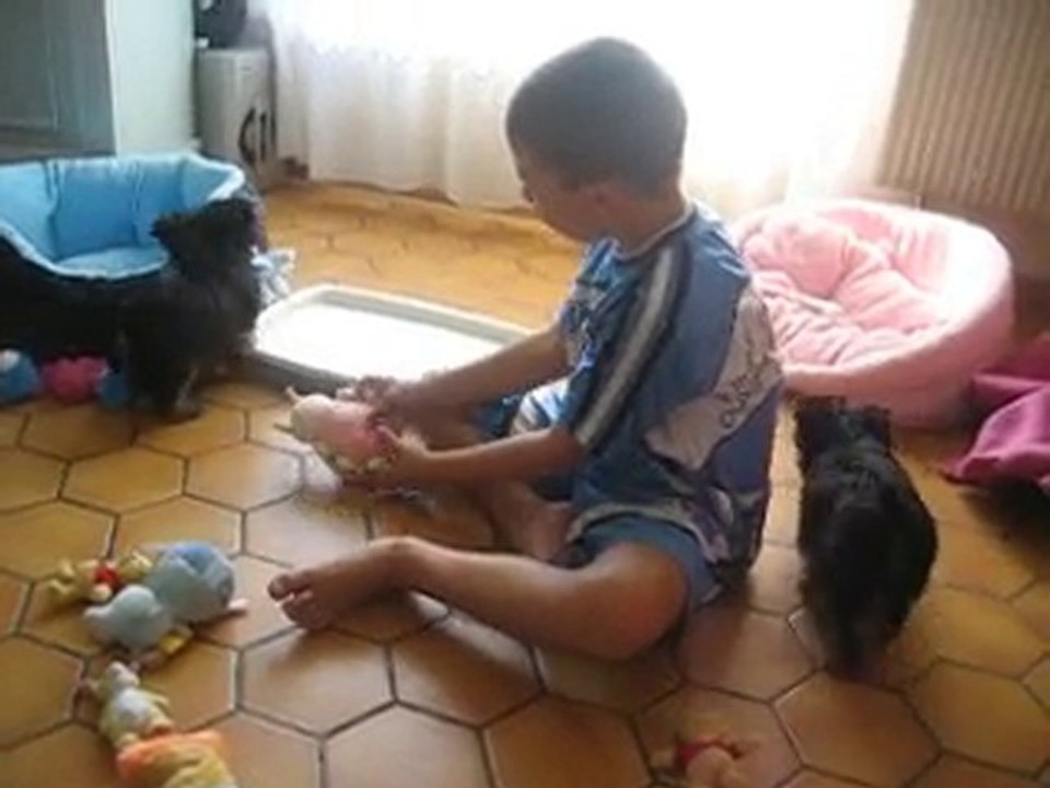 suite filou et fiona 016