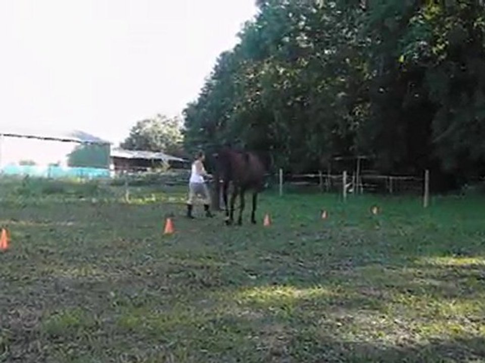 Den et slalom