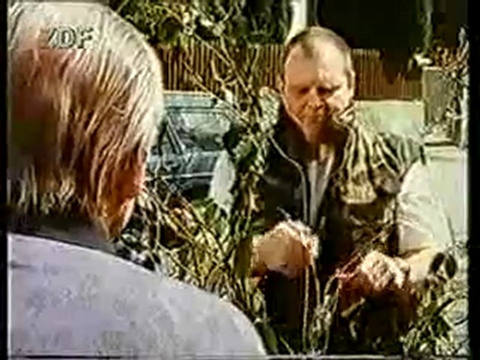 Tobias Meister
