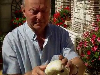 IMAG0010 Champignons