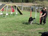 Concours Agility 29.08.2010 Djin 1er degré