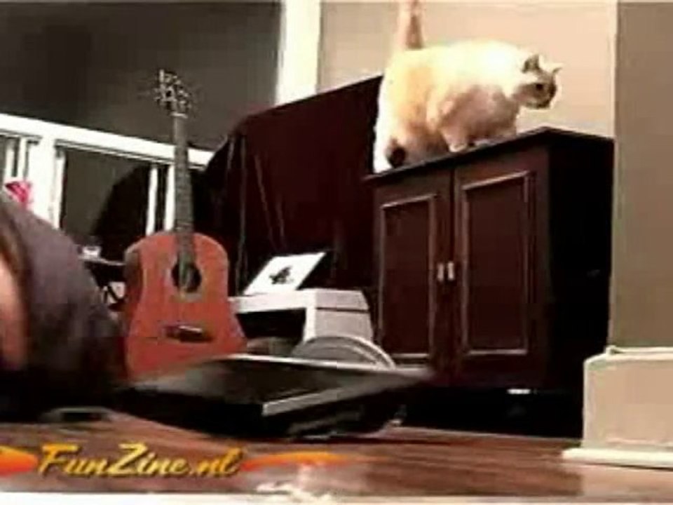 SNTV - Exklusiv: Miezekatzes Fehltritt