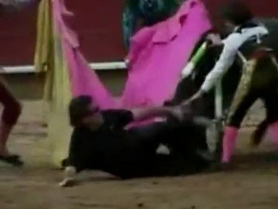 SNTV - Exklusiv: Kind und Stier