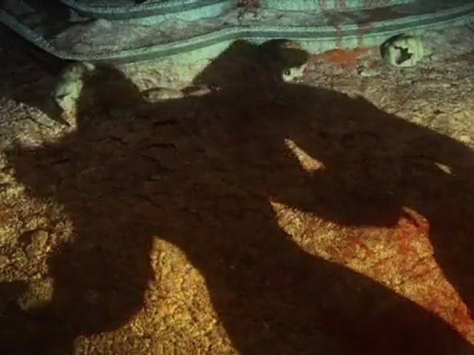 Mortal Kombat - Shadows Trailer