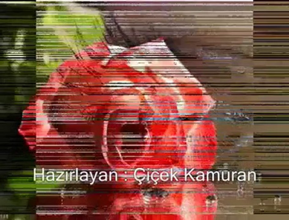 [ Duygusal Kalpler Durağı ]   Rafet El Roman - Gönül