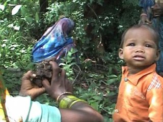 Floods Devastate Food Supply in Palamu, India