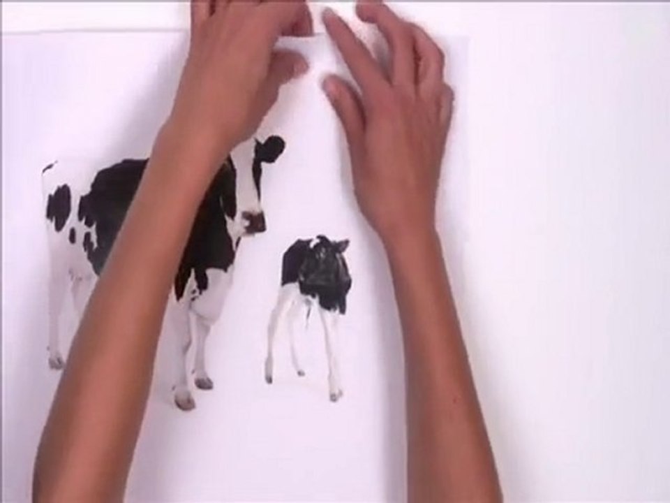 Dieren Bescherming - Droit des Animaux