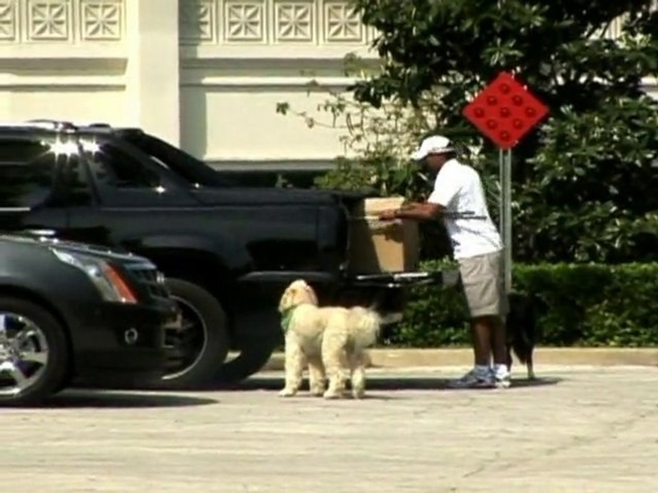 SNTV - Tiger Woods Scheidung