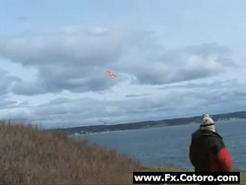 Eagle Chases Remote Controlled Plane