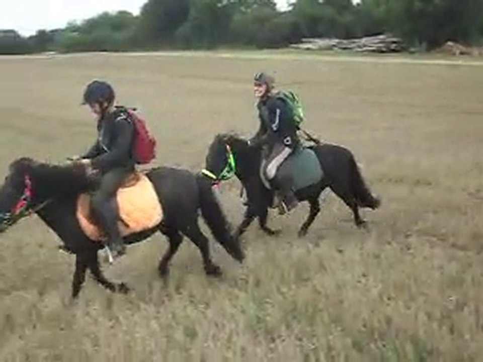 Galop dans un chaume Les poneys de Sophie 77