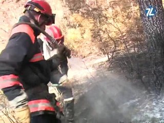 Incendie à Castelnau-le-Lez (Hérault)