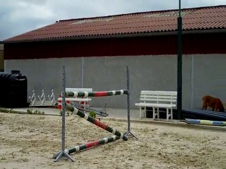 simbad des torfeux vertical 4