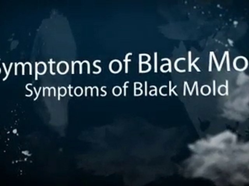 Black Mold Removal Davenport IA 52804