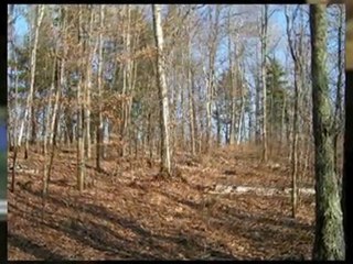 WI Recreational Land for sale Danbury, WI