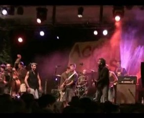 Estiv'Ov Es lo que hay Pau 2010