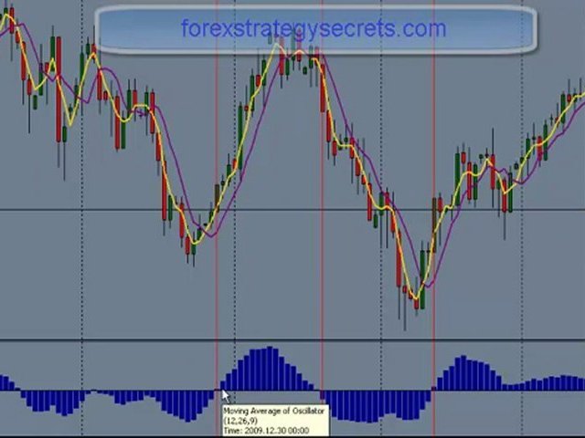The Best Forex trading currency courses