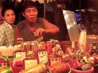 Southeast Asia Backpacker Diaries: Sneak Peek!