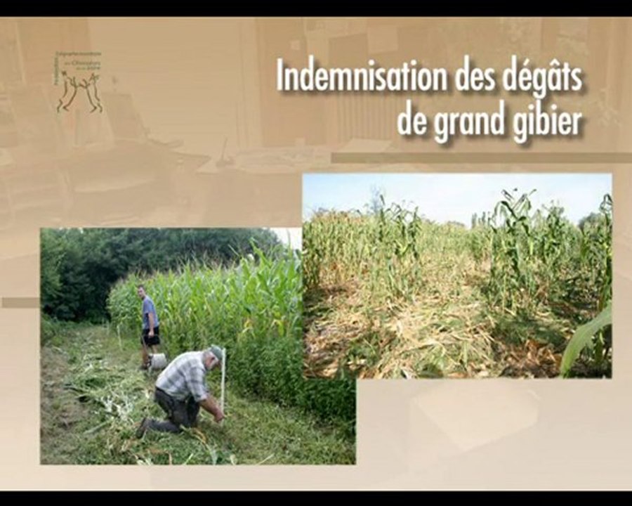 Missions de service public de la FDCL