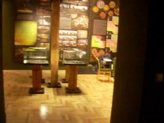 Nowa ekspozycja stala w Muzeum Slaska Opolskiego cz2