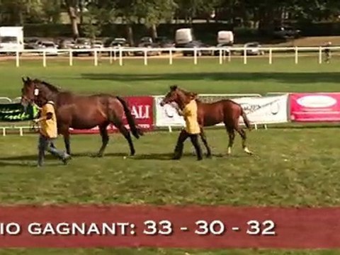 SHOW AQPS du Lion d'Angers 2010 : les rappels