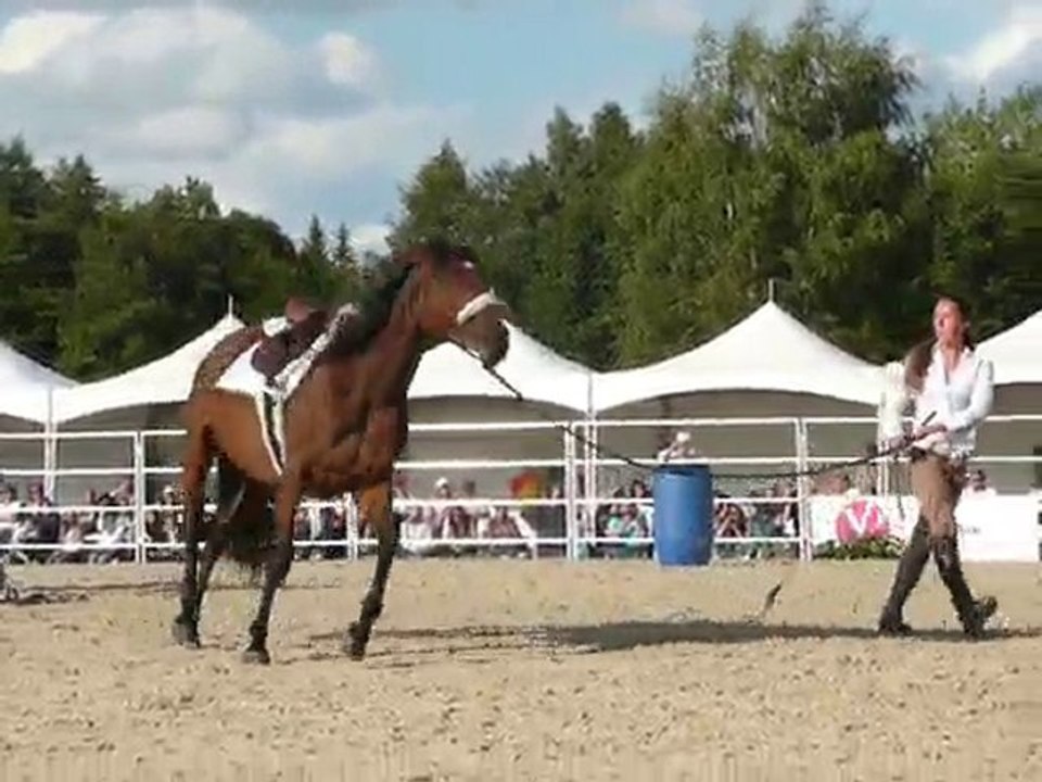 Pauline et Naiade - 11èmes RDV éthologiques à La Cense 9/11