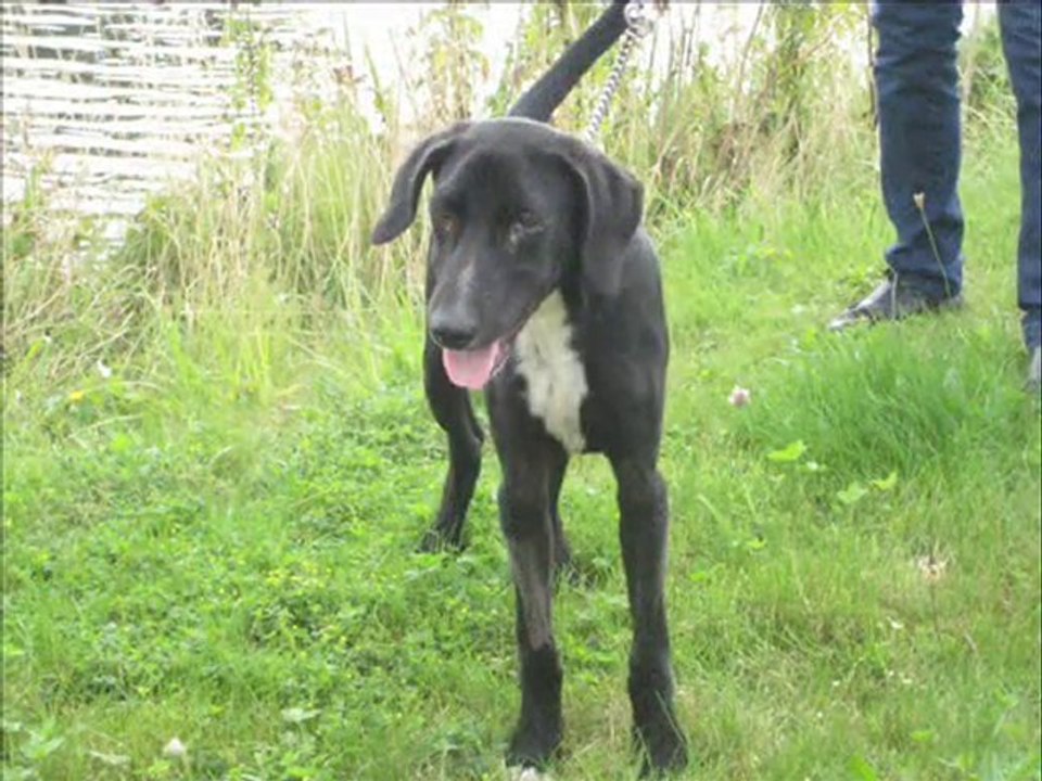Portes ouvertes SPA  Dunkerque 2 et 3 Octobre 2010