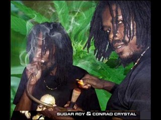 SUGA ROY & CONRAD CRYSTAL