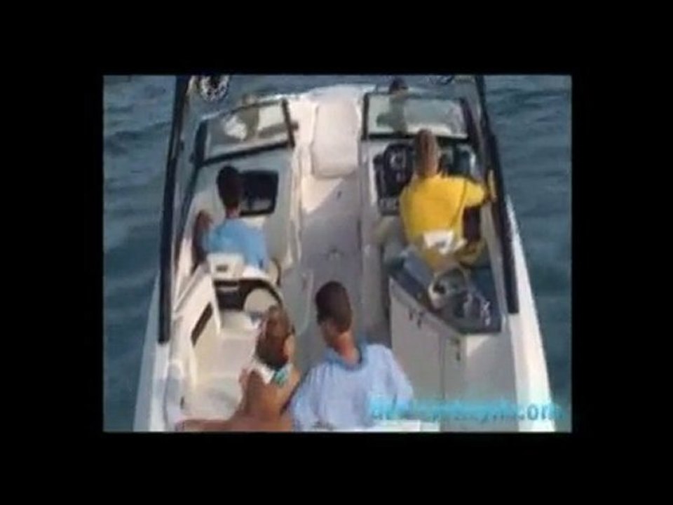 Chaparral 284 Sunesta