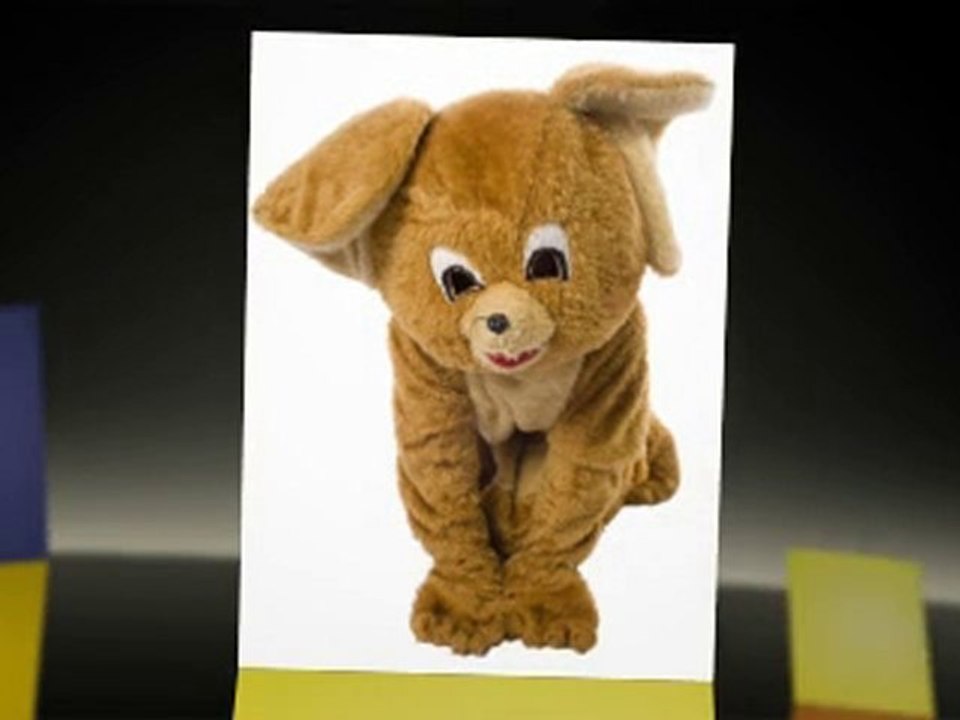 Fancy Dress - Animal Fancy Dress Costumes