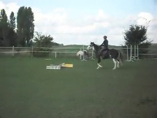 STAGE AVEC CELINE:gestion d' Hasta foulée par foulée: CAM'!