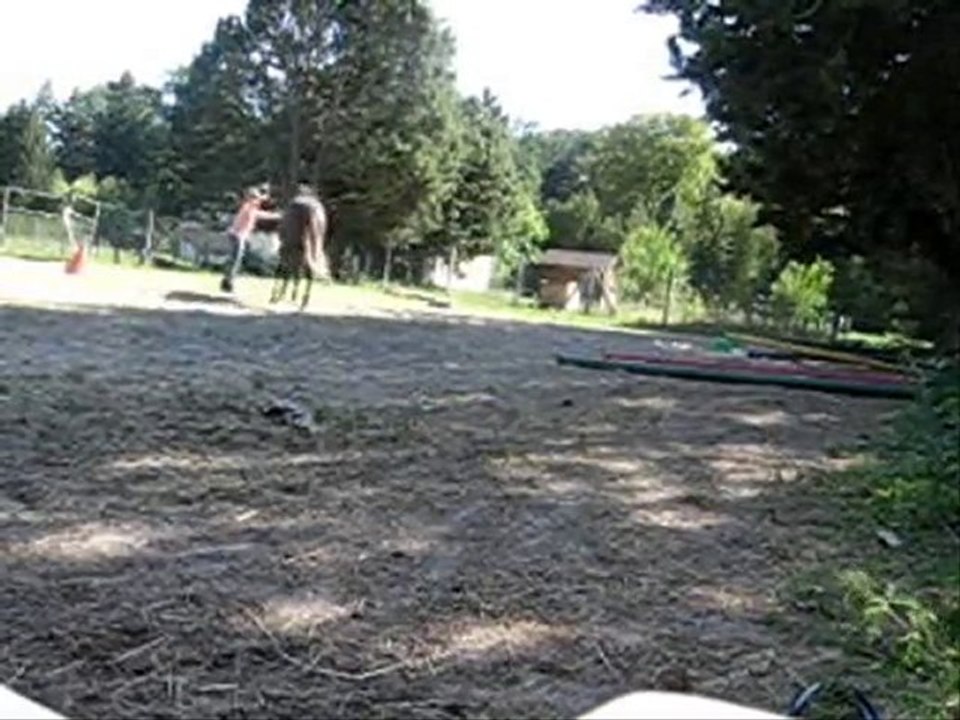 Vass, travail longe 09.10