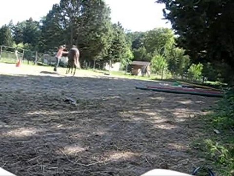 Vass, travail longe 09.10