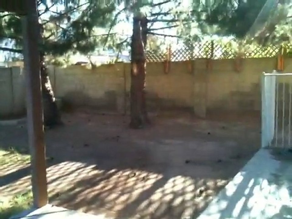 813 W. Obispo Ave- Mesa AZ Home for Sale