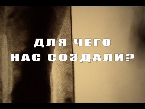 Для чего нас создали?