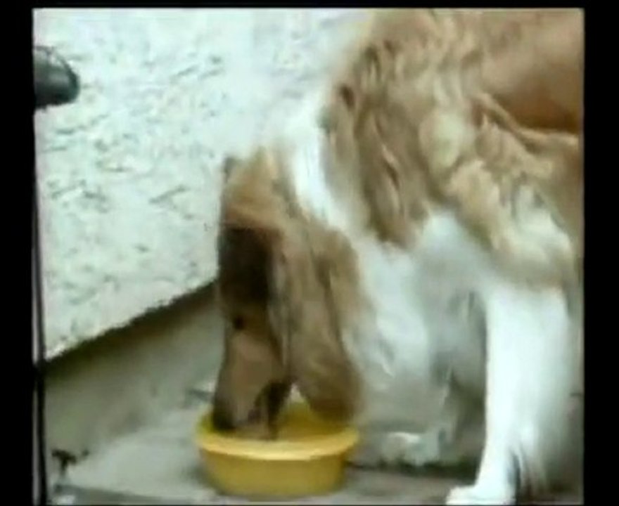 Manipulation - Und wie man ihr entkommt