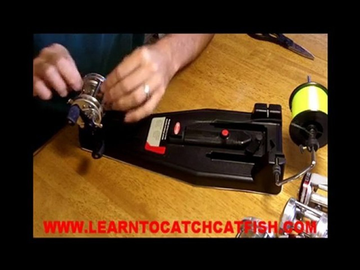 best shimano casting reel The Best Shimano Reels of 2026, Tested