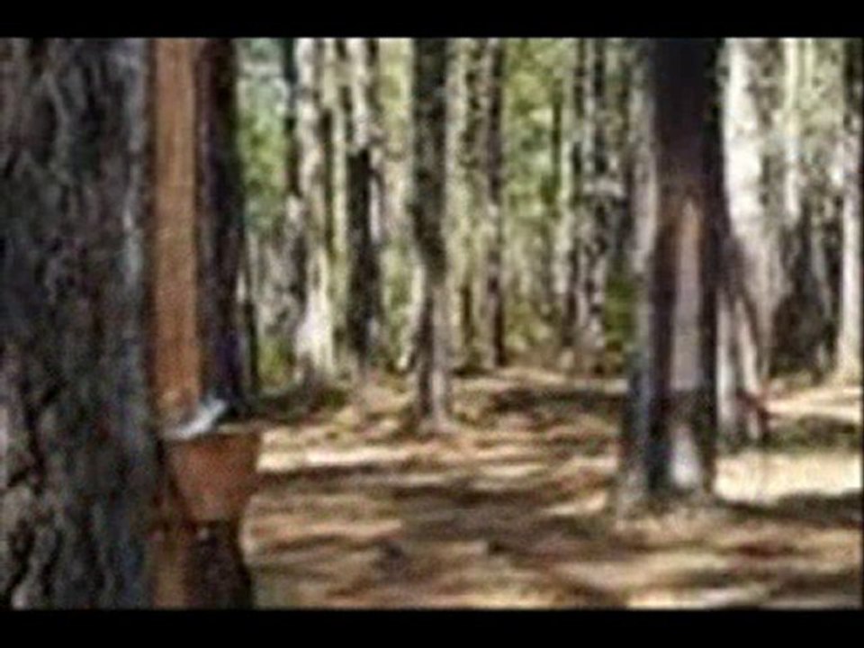 KKR-007---"éveil syndical sous le pin des landes"