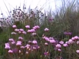 Victor Huynh - solitude