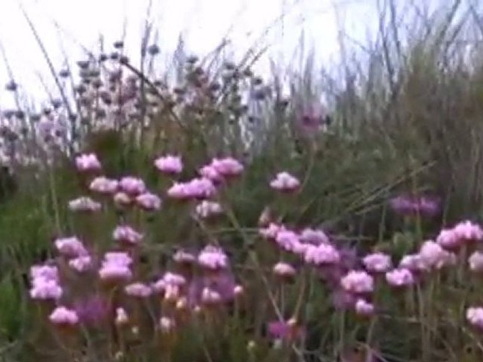 Victor Huynh - solitude